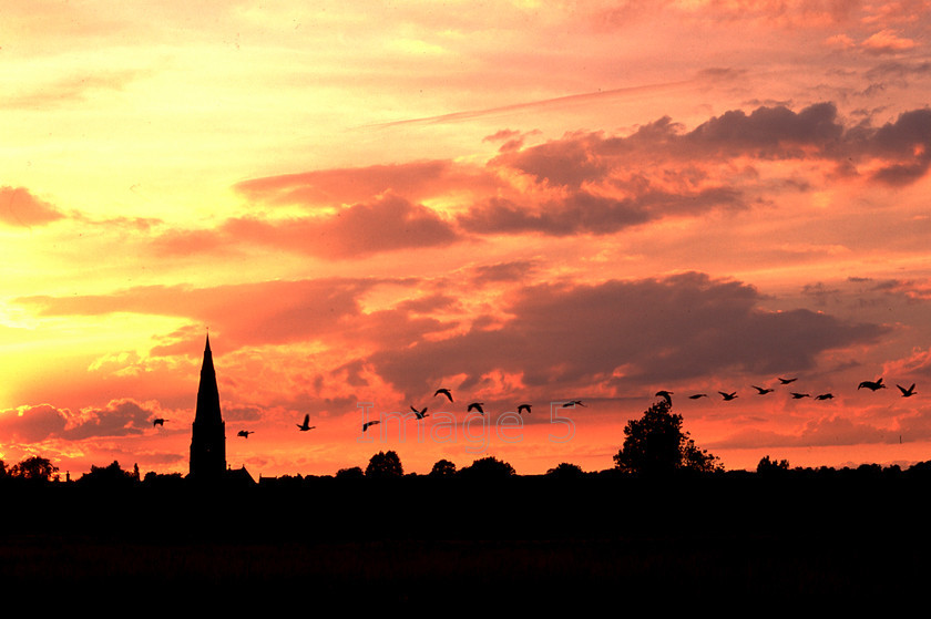geesesset 
 Geesesset 
 Keywords: olney church steeple geese in flight sunset orange clouds olney bucks uk