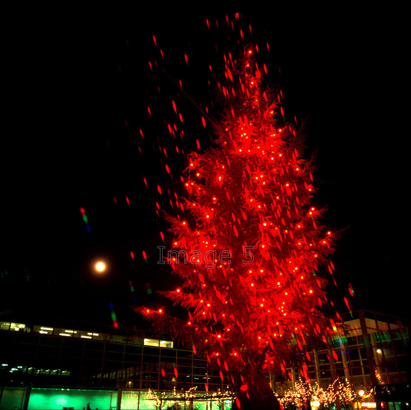 xmtreemk 
 Christmas Tree 
 Keywords: christmas tree special fx lights night queens square milton keynes bucks uk