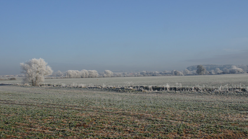 frostscene 
 Frostscene 
 Keywords: frost fields h crawley beds uk