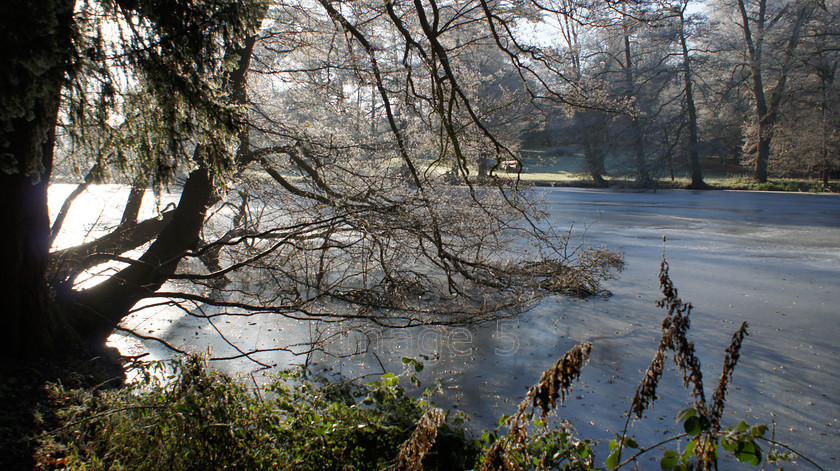 lakefreeze 
 Lakefreeze 
 Keywords: frozen lake tree branches woburn lake beds uk